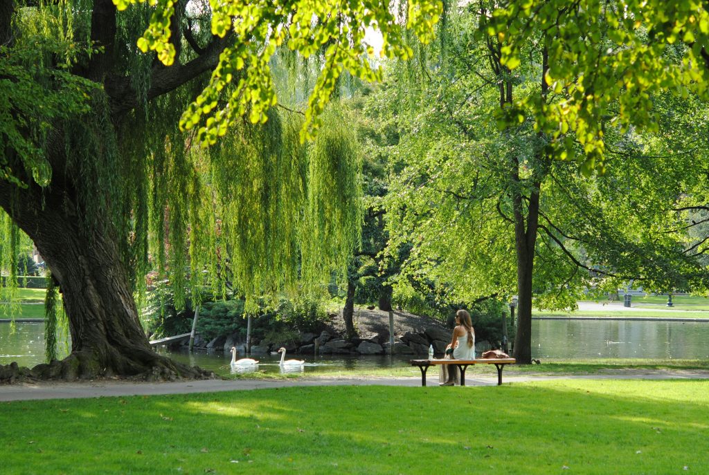 Parc à Boston