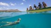 sejour linguistique hawaii excursion ocean