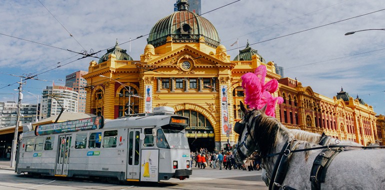 australie cours voyage anglais melbourne